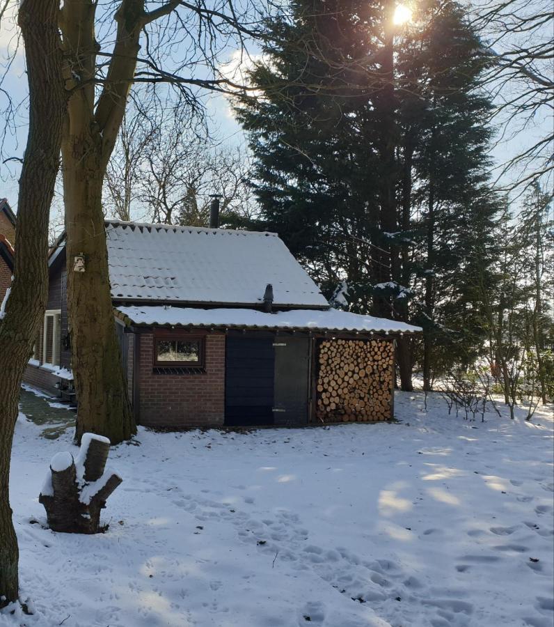 Benb Op De Vleet Vrijstaande Accommodatie Plantage Centrum 외부 사진