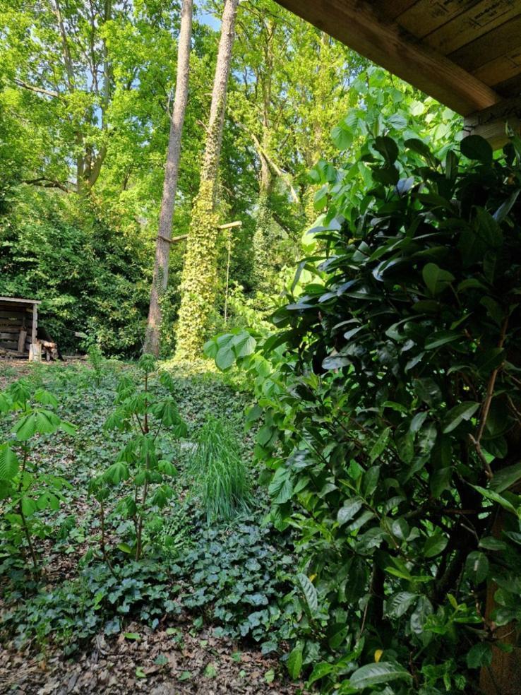 Benb Op De Vleet Vrijstaande Accommodatie Plantage Centrum 외부 사진